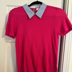 J. Crew Pink Top with Blue Striped Collar